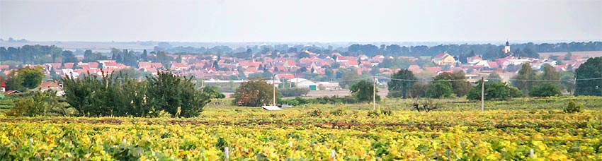 Vinařská stezka
